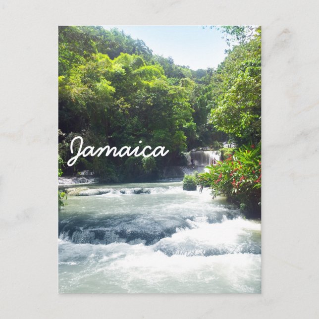 Carte Postale Chutes de Jamaïque (Devant)