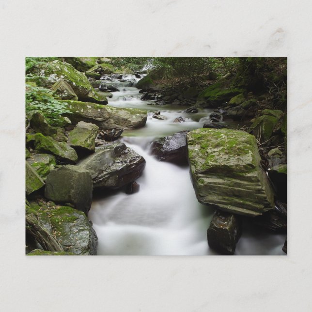 Carte Postale Chutes de Kenny Creek (Devant)