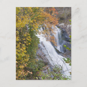 Carte Postale Chutes de la rivière Bald