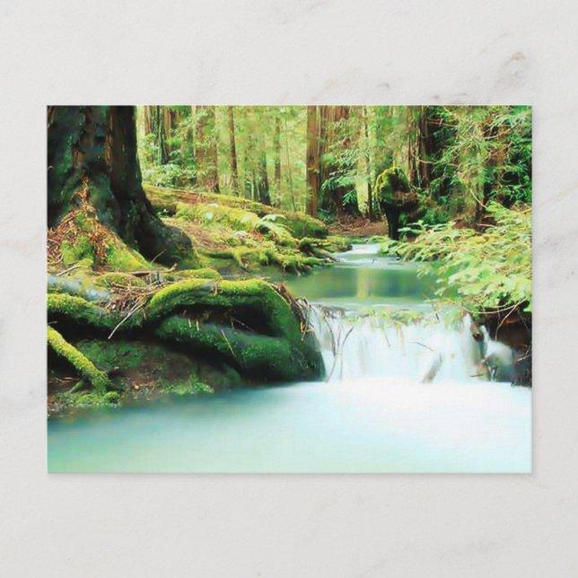 Carte Postale Chutes de la rivière Green (Devant)