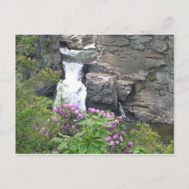 Carte Postale Chutes de Linville, Caroline du Nord (Devant)