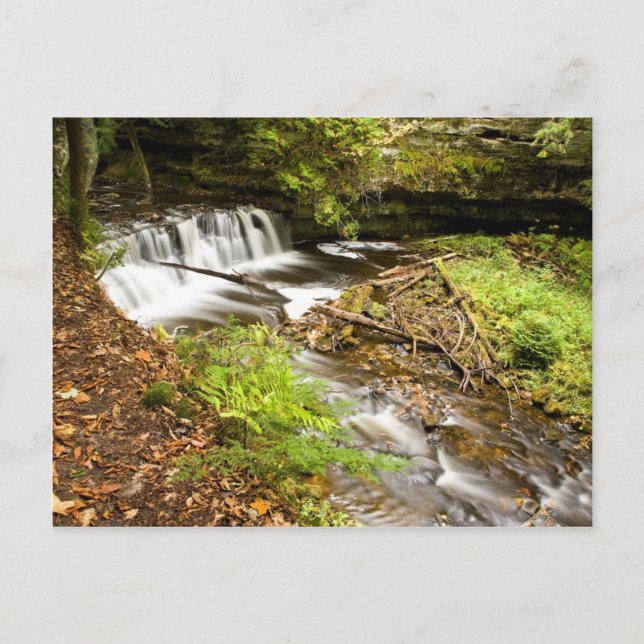 Carte Postale Chutes de moustiques (Devant)