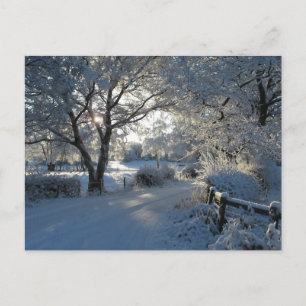 Carte Postale Chutes de neige hivernales
