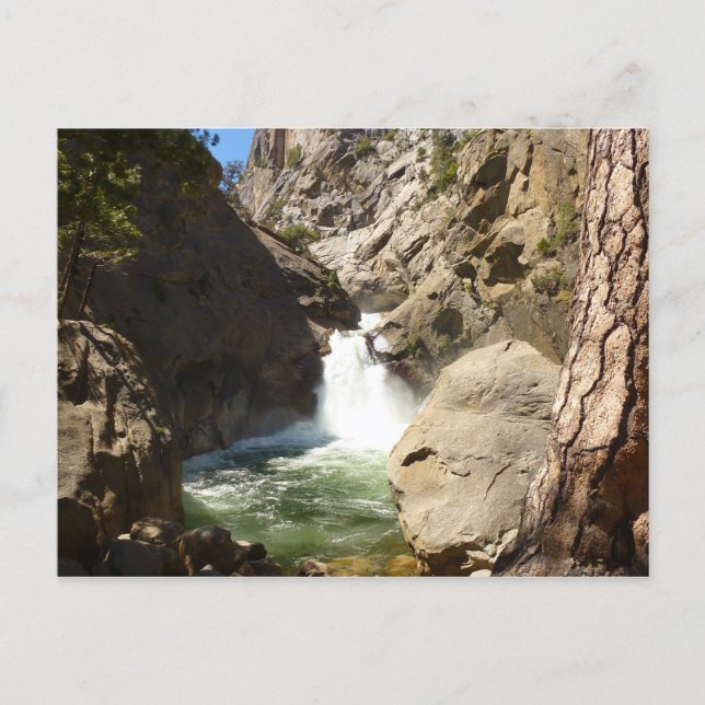 Carte Postale Chutes de Roaring River dans le parc national de K (Devant)
