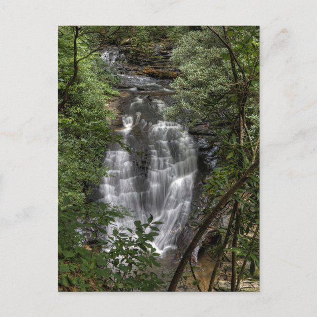 Carte Postale Chutes de Sea Creek (Devant)