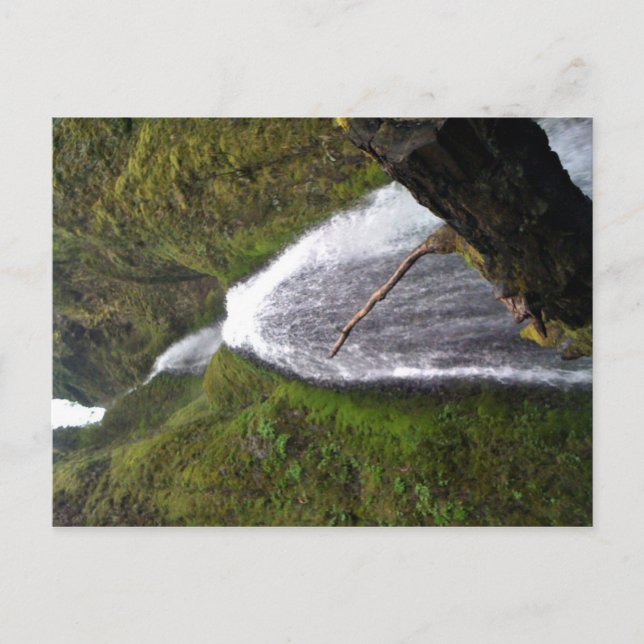 Carte Postale Chutes de Wahkeena, Oregon (Devant)