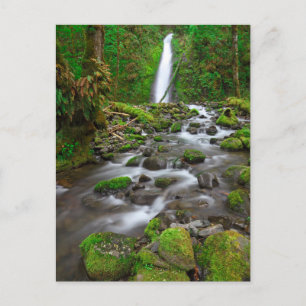 Carte Postale Chutes du ruisseau Ruckel, Columbia River Gorge Or