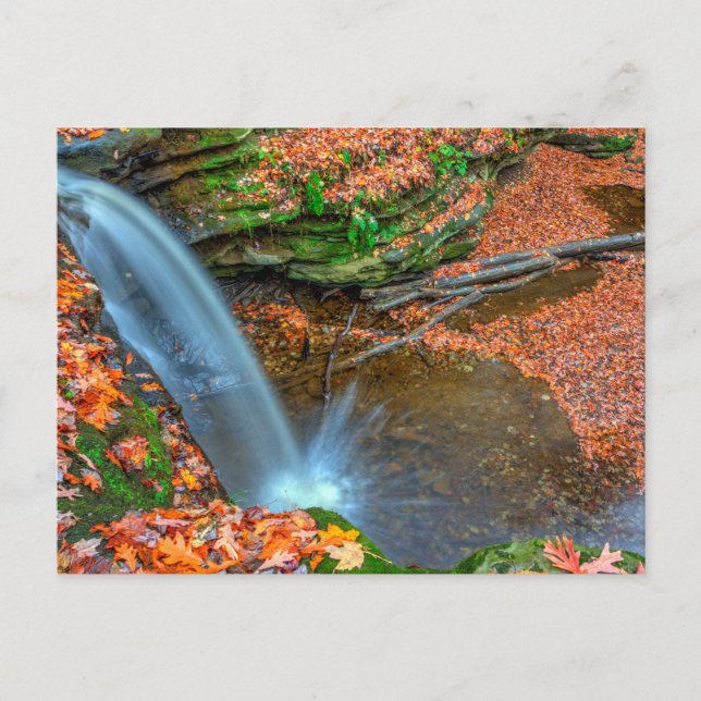 Carte Postale Chutes Dundee en automne, Ohio (Devant)