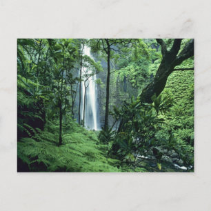 Carte Postale Chutes Hanakapiai le long de la côte Na Pali, Kaua