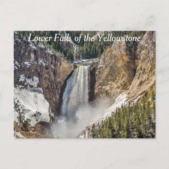 Carte Postale Chutes inférieures du Yellowstone (Devant)