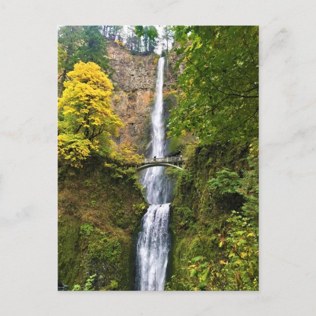 Carte Postale Chutes Multnomah, Columbia River Gorge, Oregon (Devant)