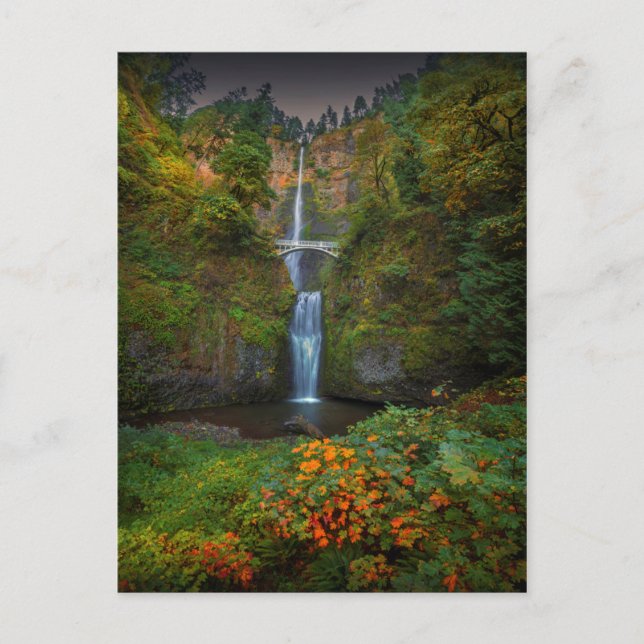 Carte Postale Chutes Multnomah | Columbia River Gorge, Oregon (Devant)