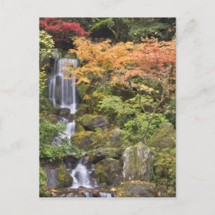 Carte Postale Chutes paradisiaques et couleurs d'automne