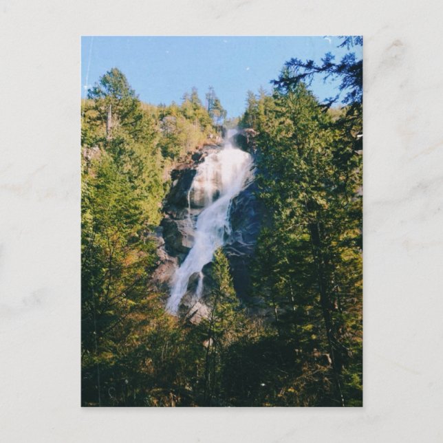 Carte Postale Chutes Shannon, Squamish, Canada  (Devant)