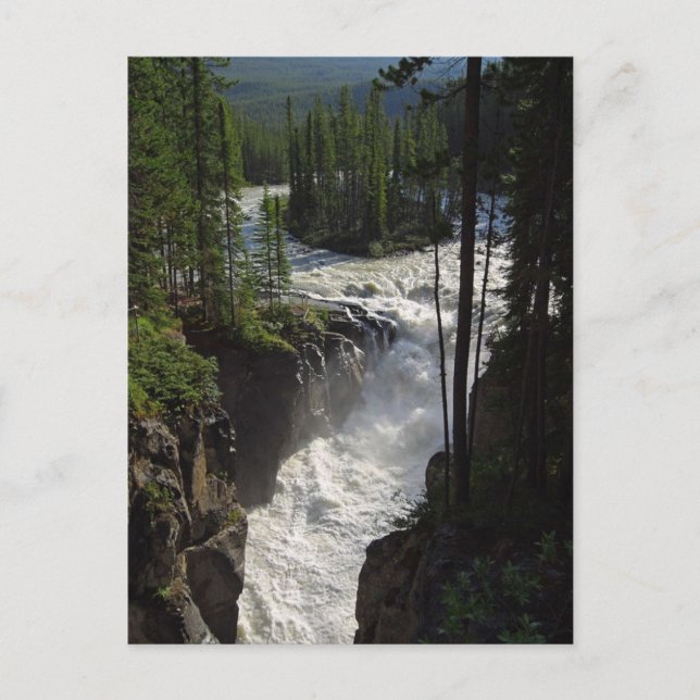 Carte Postale Chutes Sunwapta Dans Le Parc National Jasper (Devant)