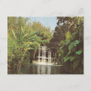 Carte Postale Chutes vintage de Schweitzer