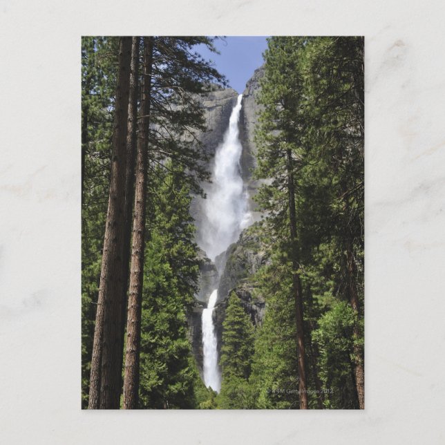 Carte Postale Chutes Yosemite, Parc national Yosemite (Devant)