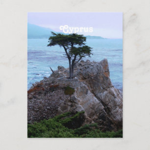 Carte Postale Chypre