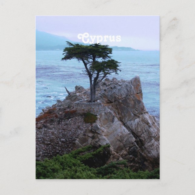 Carte Postale Chypre (Devant)