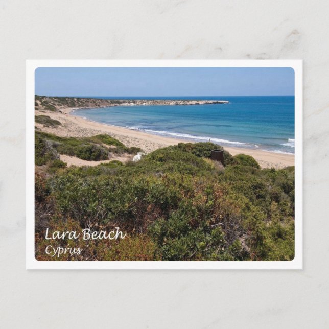Carte Postale Chypre - Lara - (Devant)