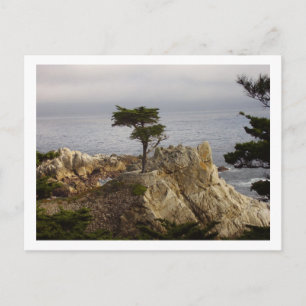 Carte postale Chypre unique