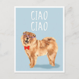 Carte Postale Ciao Ciao dit que Chow Chow Dog Funny Pun