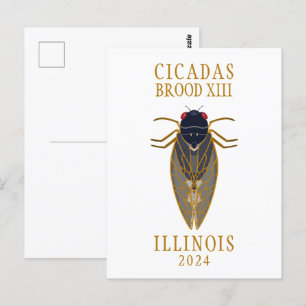 Carte Postale Cicada Brood XIII ILLINOIS 2024 Texte personnalisé