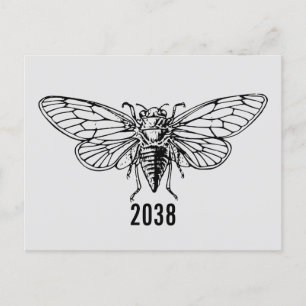 Carte Postale Cicadas 2038