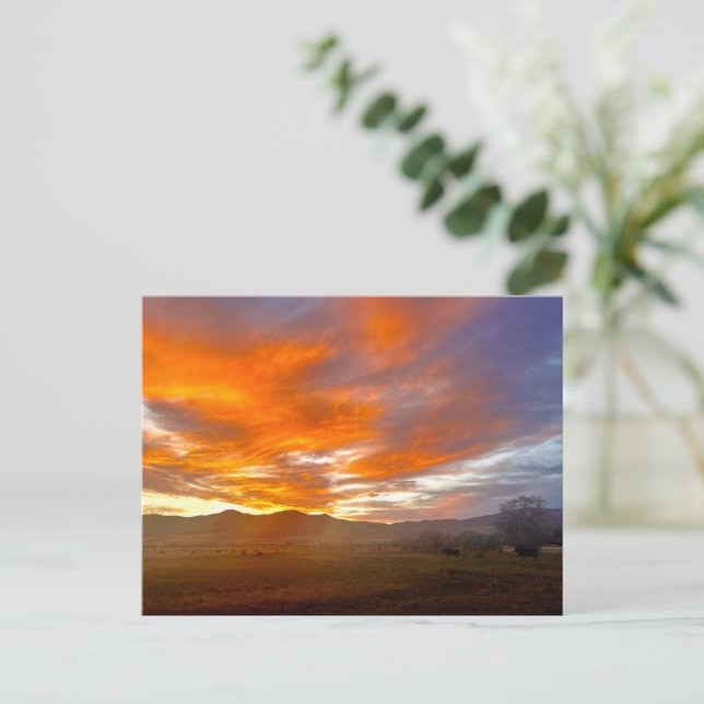 Carte Postale Ciel Braise (Debout devant)
