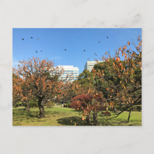 Carte Postale Ciel d'automne nostalgique