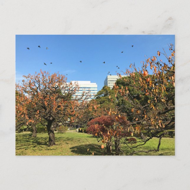 Carte Postale Ciel d'automne nostalgique (Devant)