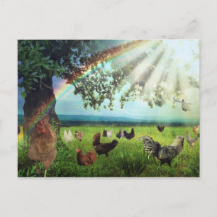 Carte Postale Ciel de poulet