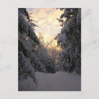Carte Postale Ciel d'hiver
