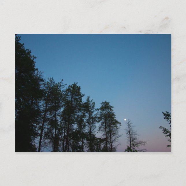 Carte Postale Ciel du soir au-dessus du lac Elk, Michigan (Devant)