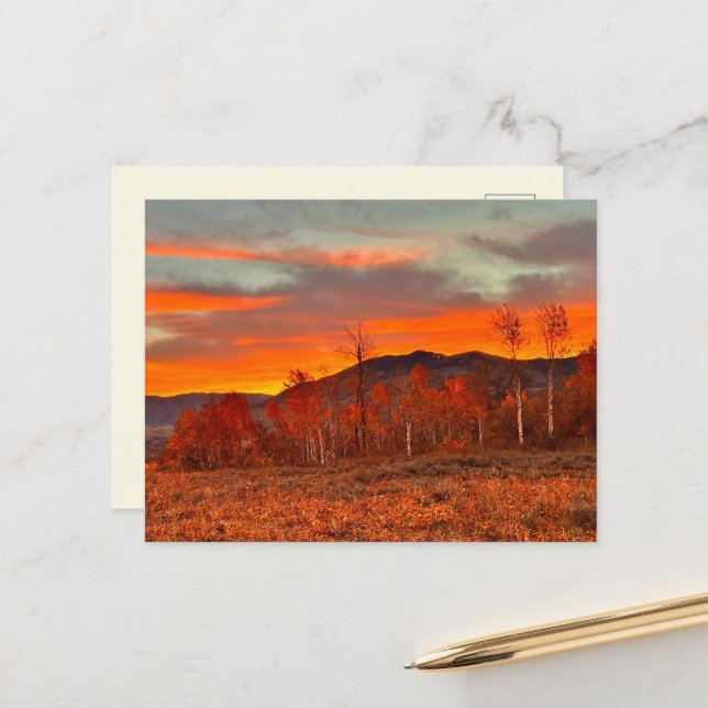 Carte Postale Ciel en Feu (Devant/Arrière en situation)