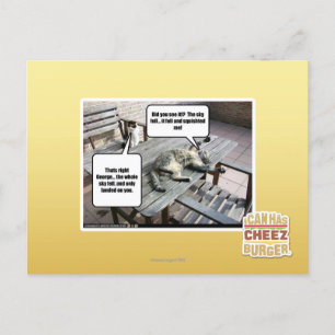 Carte Postale Ciel est en train de tomber