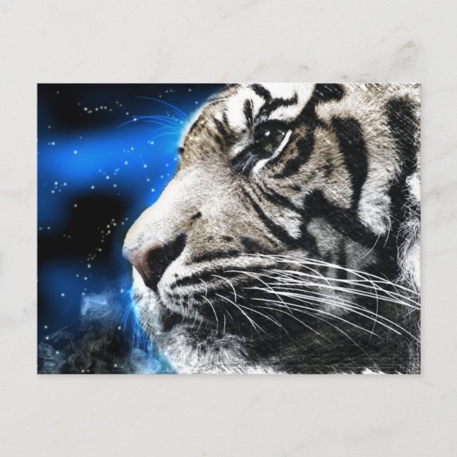 Carte Postale ciel étoilé blanc Tigre (Devant)