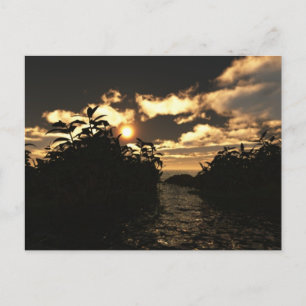 Carte Postale Ciel nocturne