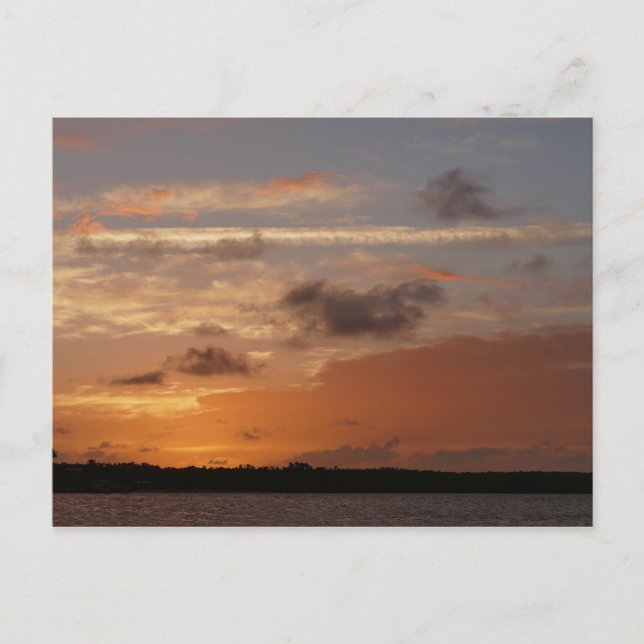 Carte Postale Ciel orange après coucher de soleil en Floride (Devant)