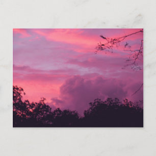 Carte Postale Ciel Sunrise Pink et Purple Sunset Ciel Photo