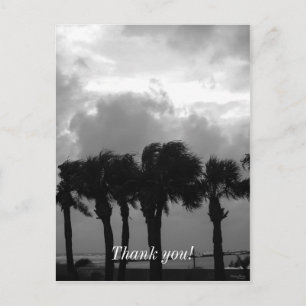 Carte Postale Ciels orageux tropicaux en nuances de gris