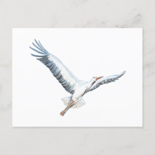 Carte Postale cigogne blanche volant