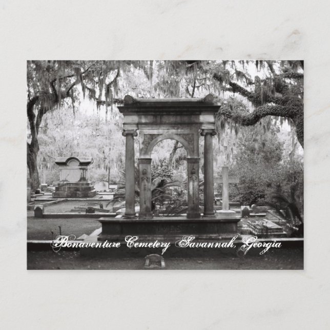 Carte Postale Cimetière Bonaventure Savannah (Devant)