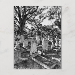 Carte Postale Cimetière Bonaventure, Savannah GA
