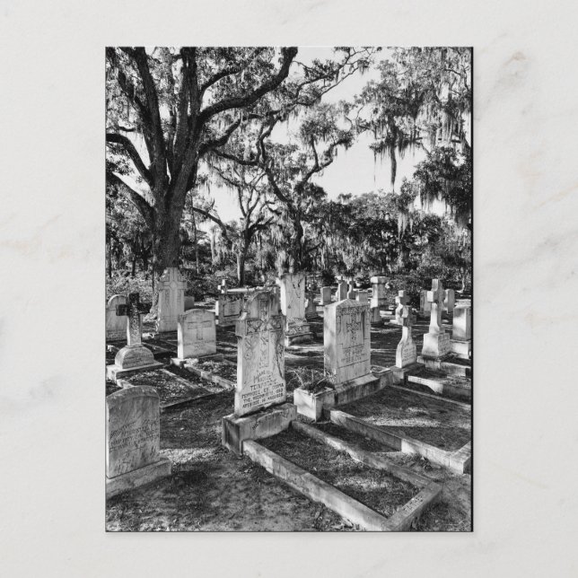 Carte Postale Cimetière Bonaventure, Savannah GA (Devant)