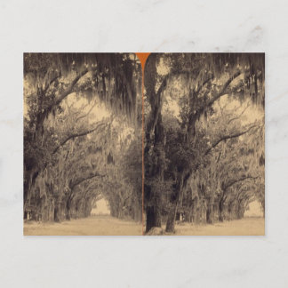 Carte Postale Cimetière Bonaventure, Savannah, Ga c. 1887