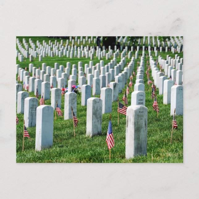 Carte Postale Cimetière d'Arlington (Devant)