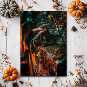 Carte Postale Cimetière de chats noirs gothiques pour Halloween