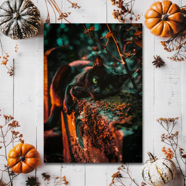 Carte Postale Cimetière de chats noirs gothiques pour Halloween  (Créateur téléchargé)