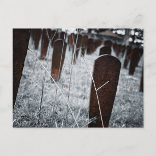 Carte Postale Cimetière de Red Hill : Pierres tombales rouillées